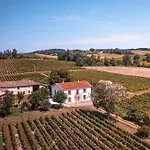 Les Blancs - Au Coeur Des Vignes - Piscine * Lisle-sur-Tarn