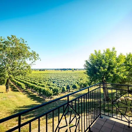 Prázdninový dům Les Blancs - Maison De Maitre Entouree De Vignes *