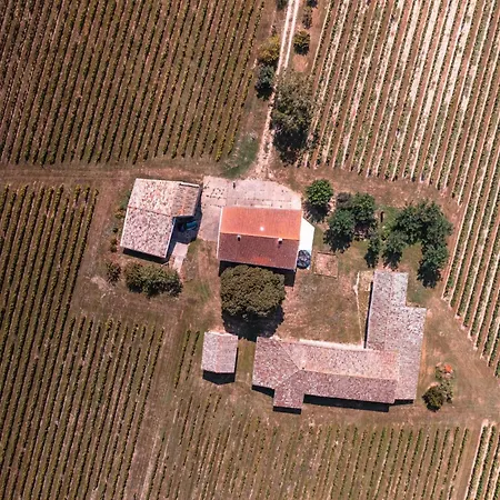 Prázdninový dům Les Blancs - Maison De Maitre Entouree De Vignes Lisle-sur-Tarn