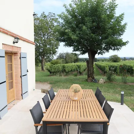 Prázdninový dům Les Blancs - Maison De Maitre Entouree De Vignes Lisle-sur-Tarn