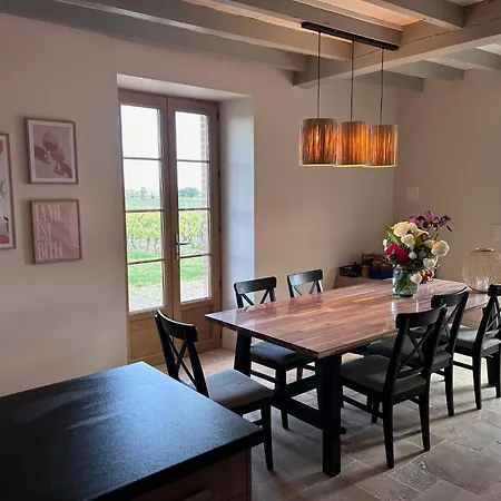 Les Blancs - Maison De Maitre Entouree De Vignes * Lisle-sur-Tarn