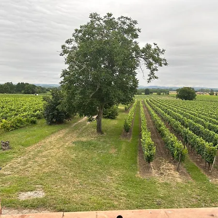 Les Blancs - Maison De Maitre Entouree De Vignes