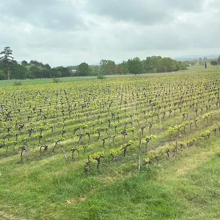 Prázdninový dům Les Blancs - Maison De Maitre Entouree De Vignes *