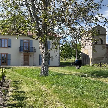 Les Blancs - Maison De Maitre Entouree De Vignes Prázdninový dům Lisle-sur-Tarn